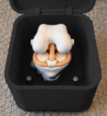 Open box showing the knee model inside